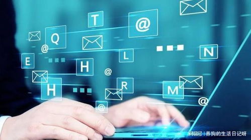 湖南助企文化传媒 企业网络营销推广与网络经营实战指南