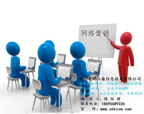 专业网络建站公司的网络营销方案与信息技术开发策略