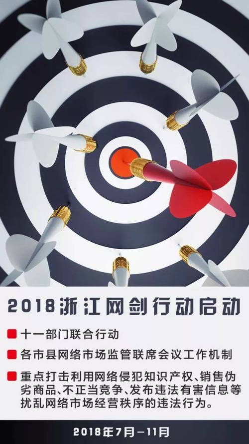 2018浙江网剑行动 向扰乱网络经营秩序亮剑