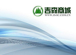 中国吉林森工集团网络信息技术开发的战略路径与实践探索