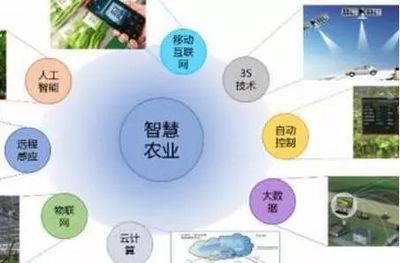 智慧网络信息技术驱动下的有机农业发展体系构建研究